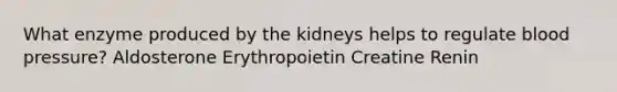 What enzyme produced by the kidneys helps to regulate blood pressure? Aldosterone Erythropoietin Creatine Renin