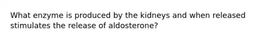 What enzyme is produced by the kidneys and when released stimulates the release of aldosterone?