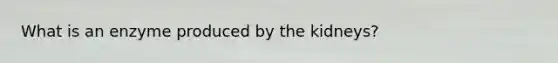 What is an enzyme produced by the kidneys?