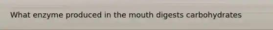 What enzyme produced in the mouth digests carbohydrates