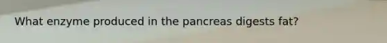 What enzyme produced in the pancreas digests fat?