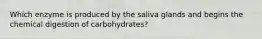 Which enzyme is produced by the saliva glands and begins the chemical digestion of carbohydrates?