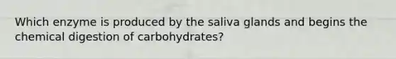 Which enzyme is produced by the saliva glands and begins the chemical digestion of carbohydrates?