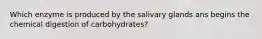 Which enzyme is produced by the salivary glands ans begins the chemical digestion of carbohydrates?