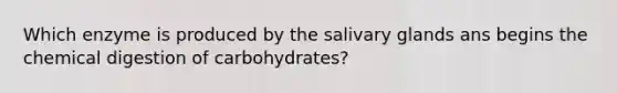 Which enzyme is produced by the salivary glands ans begins the chemical digestion of carbohydrates?