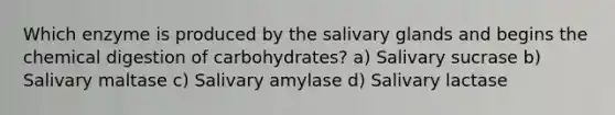 Which enzyme is produced by the salivary glands and begins the chemical digestion of carbohydrates? a) Salivary sucrase b) Salivary maltase c) Salivary amylase d) Salivary lactase