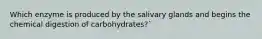 Which enzyme is produced by the salivary glands and begins the chemical digestion of carbohydrates?`