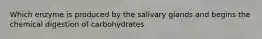 Which enzyme is produced by the salivary glands and begins the chemical digestion of carbohydrates