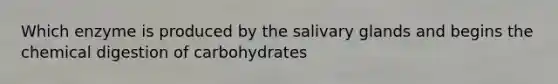 Which enzyme is produced by the salivary glands and begins the chemical digestion of carbohydrates