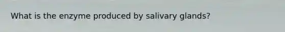 What is the enzyme produced by salivary glands?