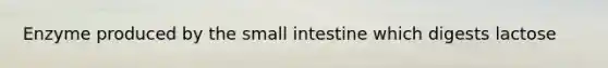 Enzyme produced by the small intestine which digests lactose