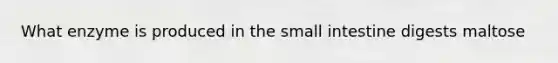 What enzyme is produced in the small intestine digests maltose