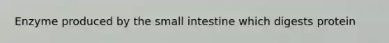 Enzyme produced by <a href='https://www.questionai.com/knowledge/kt623fh5xn-the-small-intestine' class='anchor-knowledge'>the small intestine</a> which digests protein