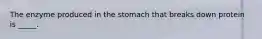 The enzyme produced in the stomach that breaks down protein is _____.