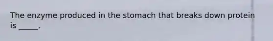 The enzyme produced in the stomach that breaks down protein is _____.