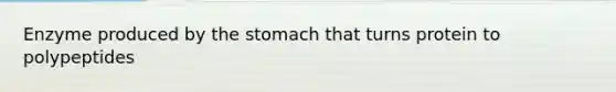 Enzyme produced by the stomach that turns protein to polypeptides
