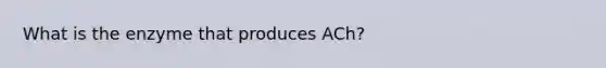 What is the enzyme that produces ACh?