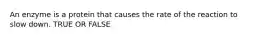 An enzyme is a protein that causes the rate of the reaction to slow down. TRUE OR FALSE