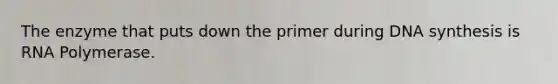 The enzyme that puts down the primer during DNA synthesis is RNA Polymerase.