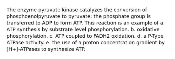 The enzyme pyruvate kinase catalyzes the conversion of phosphoenolpyruvate to pyruvate; the phosphate group is transferred to ADP to form ATP. This reaction is an example of a. <a href='https://www.questionai.com/knowledge/kx3XpCJrFz-atp-synthesis' class='anchor-knowledge'>atp synthesis</a> by substrate-level phosphorylation. b. <a href='https://www.questionai.com/knowledge/kFazUb9IwO-oxidative-phosphorylation' class='anchor-knowledge'>oxidative phosphorylation</a>. c. ATP coupled to FADH2 oxidation. d. a P-Type ATPase activity. e. the use of a proton concentration gradient by [H+]-ATPases to synthesize ATP.