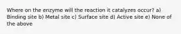 Where on the enzyme will the reaction it catalyzes occur? a) Binding site b) Metal site c) Surface site d) Active site e) None of the above