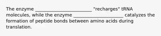 The enzyme _________________________ "recharges" tRNA molecules, while the enzyme ______________________ catalyzes the formation of peptide bonds between amino acids during translation.