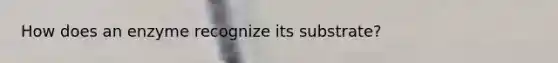 How does an enzyme recognize its substrate?