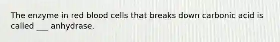 The enzyme in red blood cells that breaks down carbonic acid is called ___ anhydrase.