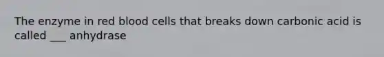 The enzyme in red blood cells that breaks down carbonic acid is called ___ anhydrase