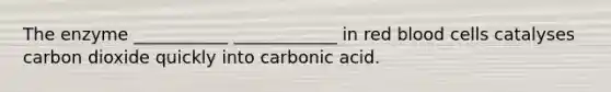 The enzyme ___________ ____________ in red blood cells catalyses carbon dioxide quickly into carbonic acid.