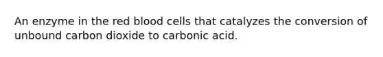 An enzyme in the red blood cells that catalyzes the conversion of unbound carbon dioxide to carbonic acid.