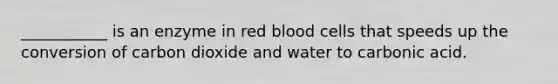 ___________ is an enzyme in red blood cells that speeds up the conversion of carbon dioxide and water to carbonic acid.