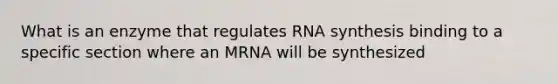 What is an enzyme that regulates RNA synthesis binding to a specific section where an MRNA will be synthesized