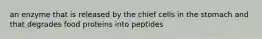 an enzyme that is released by the chief cells in the stomach and that degrades food proteins into peptides