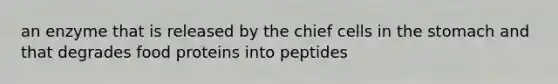 an enzyme that is released by the chief cells in the stomach and that degrades food proteins into peptides