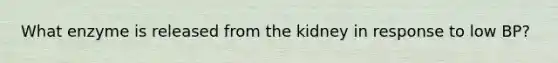 What enzyme is released from the kidney in response to low BP?
