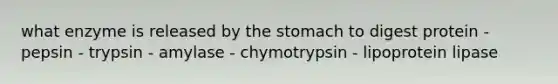 what enzyme is released by the stomach to digest protein - pepsin - trypsin - amylase - chymotrypsin - lipoprotein lipase