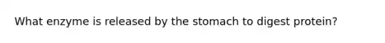 What enzyme is released by the stomach to digest protein?