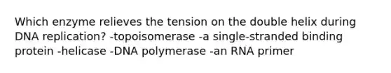 Which enzyme relieves the tension on the double helix during <a href='https://www.questionai.com/knowledge/kofV2VQU2J-dna-replication' class='anchor-knowledge'>dna replication</a>? -topoisomerase -a single-stranded binding protein -helicase -DNA polymerase -an RNA primer