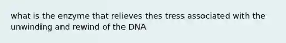 what is the enzyme that relieves thes tress associated with the unwinding and rewind of the DNA