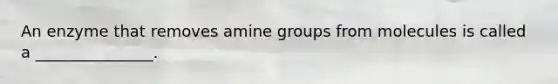 An enzyme that removes amine groups from molecules is called a _______________.