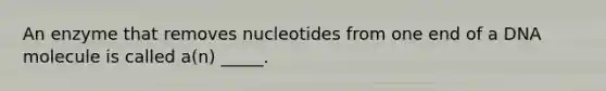 An enzyme that removes nucleotides from one end of a DNA molecule is called a(n) _____.