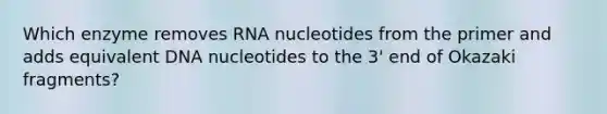 Which enzyme removes RNA nucleotides from the primer and adds equivalent DNA nucleotides to the 3' end of Okazaki fragments?