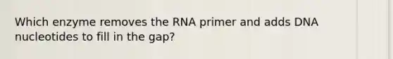 Which enzyme removes the RNA primer and adds DNA nucleotides to fill in the gap?