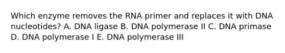 Which enzyme removes the RNA primer and replaces it with DNA nucleotides? A. DNA ligase B. DNA polymerase II C. DNA primase D. DNA polymerase I E. DNA polymerase III