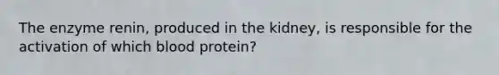 The enzyme renin, produced in the kidney, is responsible for the activation of which blood protein?