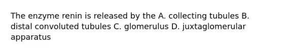 The enzyme renin is released by the A. collecting tubules B. distal convoluted tubules C. glomerulus D. juxtaglomerular apparatus