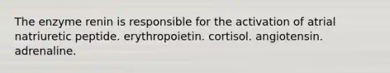 The enzyme renin is responsible for the activation of atrial natriuretic peptide. erythropoietin. cortisol. angiotensin. adrenaline.