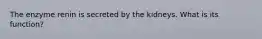 The enzyme renin is secreted by the kidneys. What is its function?