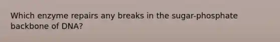 Which enzyme repairs any breaks in the sugar-phosphate backbone of DNA?